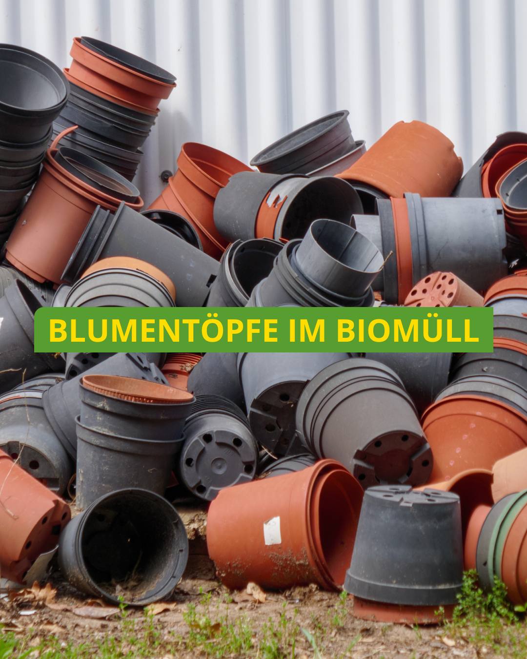 Blumentöpfe aus Kunststoff gehören nicht in den Biomüll! Plastikblumentöpfe gehören in die „Gelbe Tonne“, während Blumentöpfe aus Ton, Porzellan oder Keramik in den Restmüll kommen. Umweltfreundlich