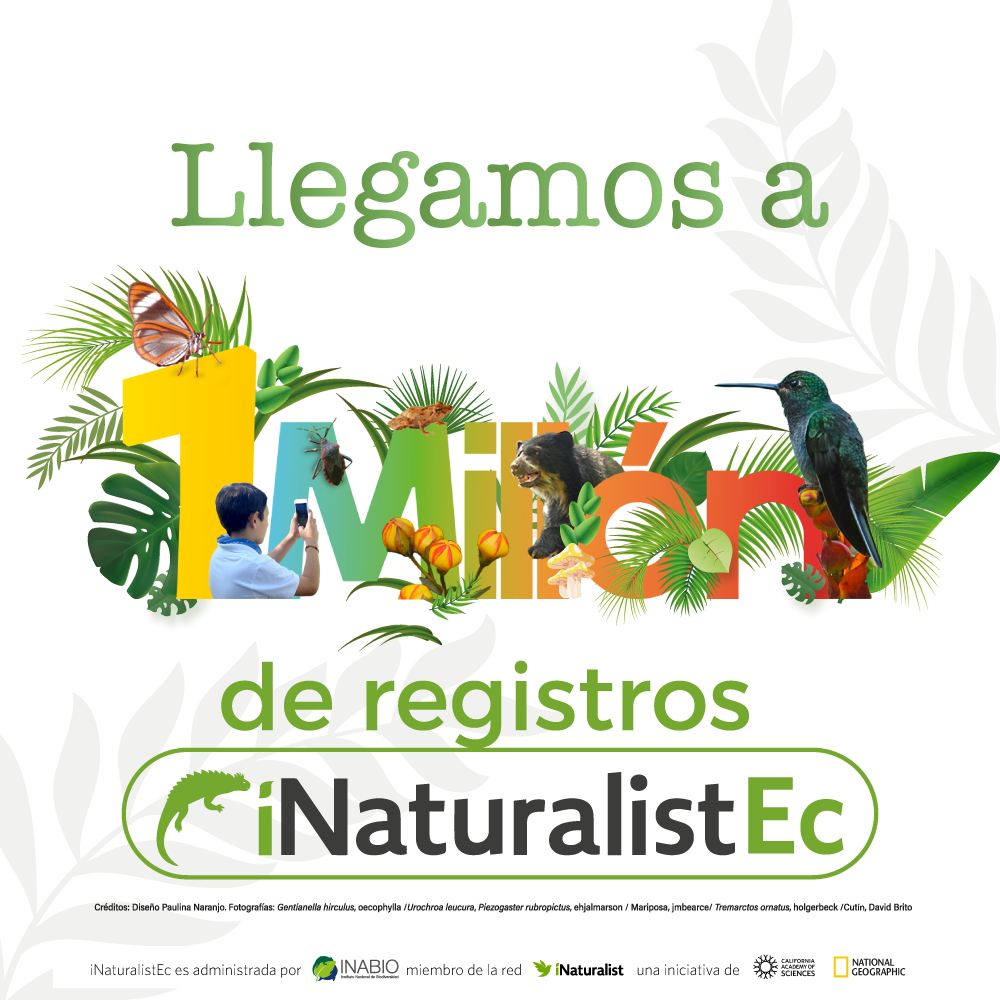 ️... - Instituto Nacional de Biodiversidad - Ecuador