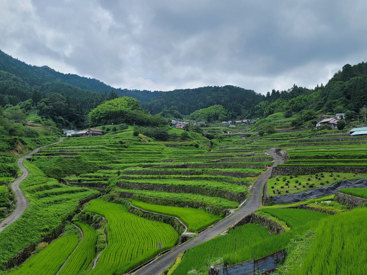 Akiota CIR - The Ini Rice Terraces in Akiota are round...