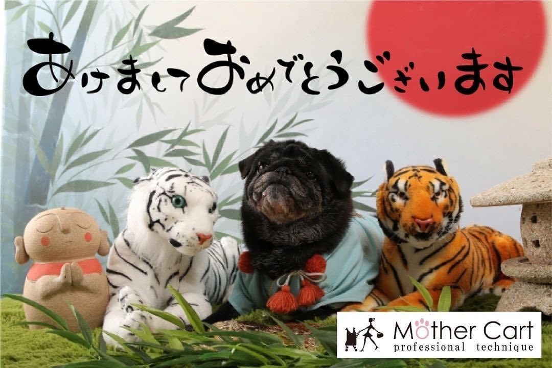 Mother Cart（マザーカート） (@mothercart) • Facebook