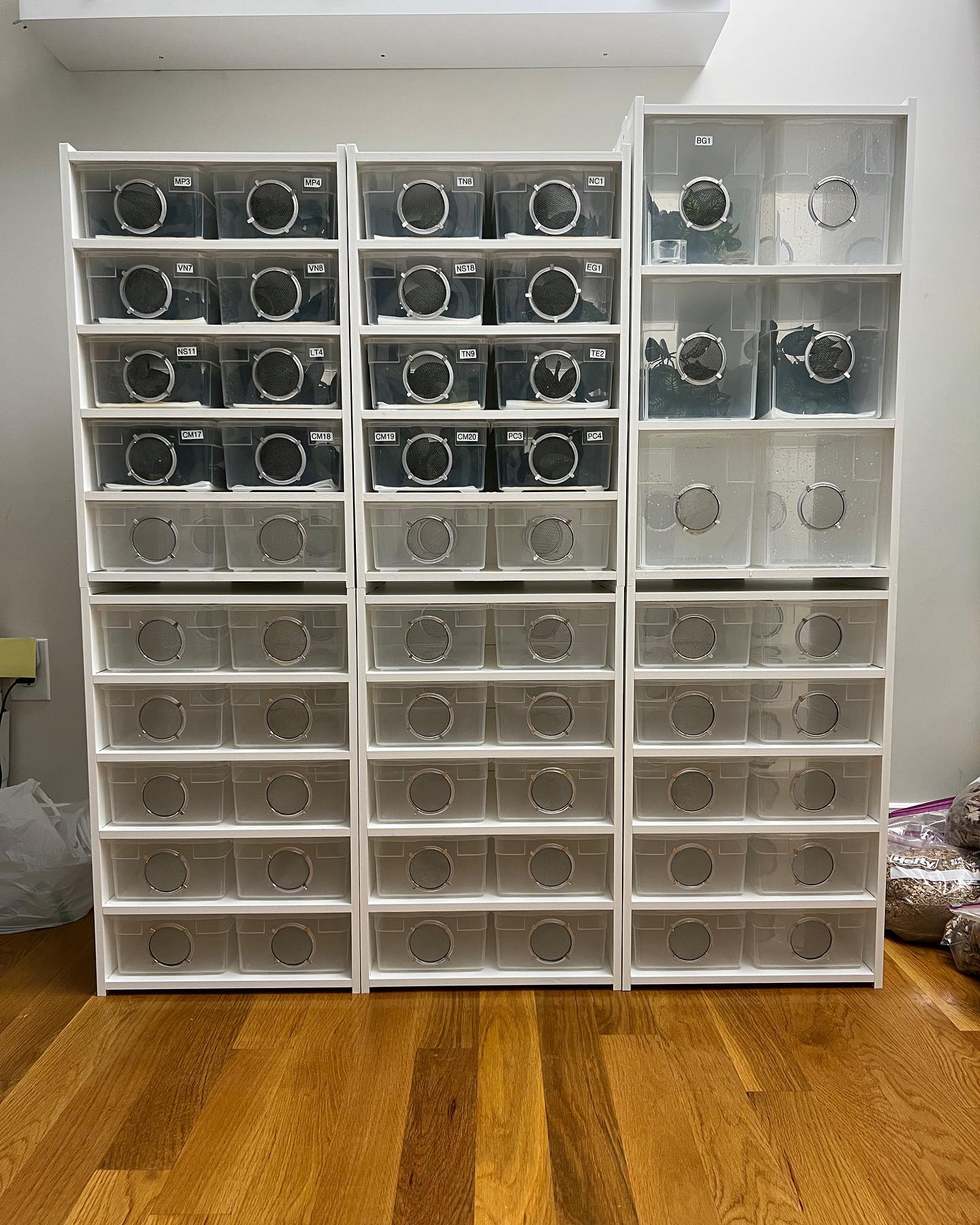 Gui's Gecko - Here is how a wall of PVC enclosures and...