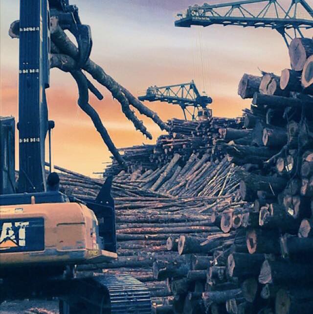 ☀️Rise and Shine☀️ It is... - LandMAX Timber Company, INC.