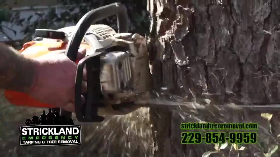 Strickland Emergency Tarping &amp; Tree Removal | Leesburg GA