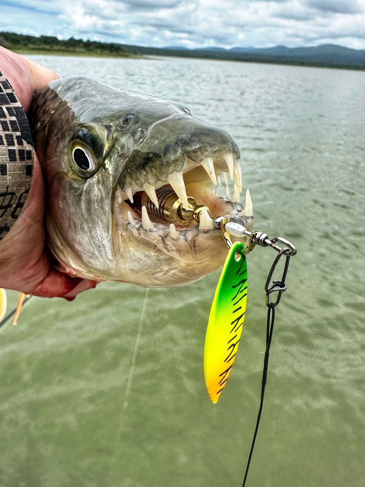 best tiger fish lures THE REELRUNNER  Zig Zag Outfitted with VMC black nickel hooks each lure is hand Best Lures for Tiger Muskie