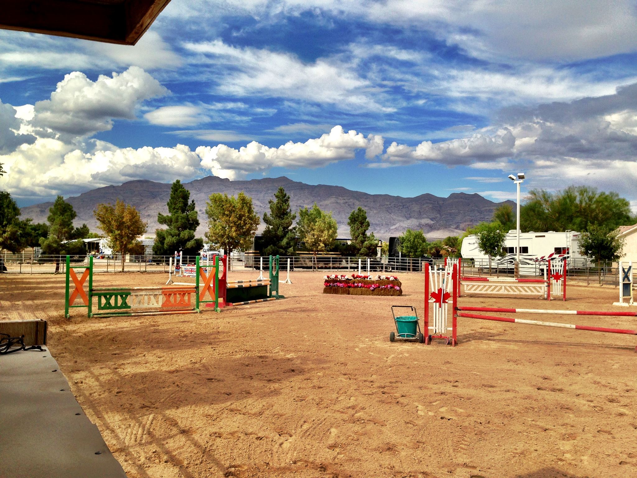 Blue Ribbon Hunters, Jumpers & Dressage | Las Vegas NV