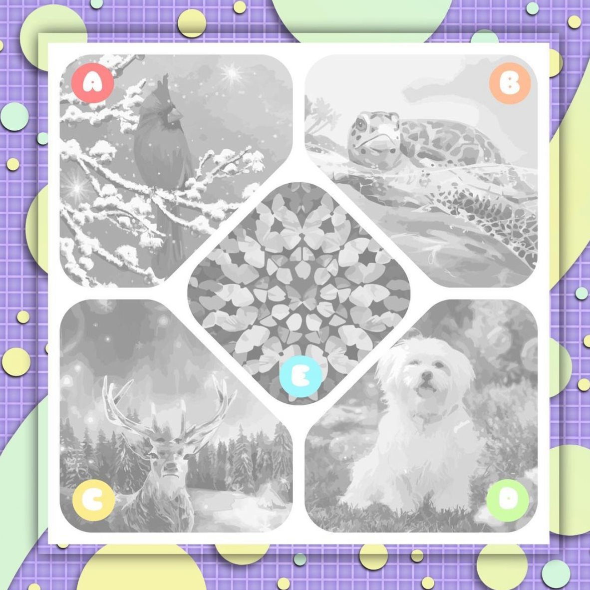 ColorPlanet - Hi, Color Planet fans🤗 Take a look at these... | Facebook