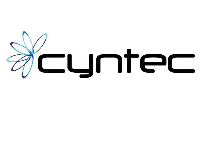 Cyntec Consultants