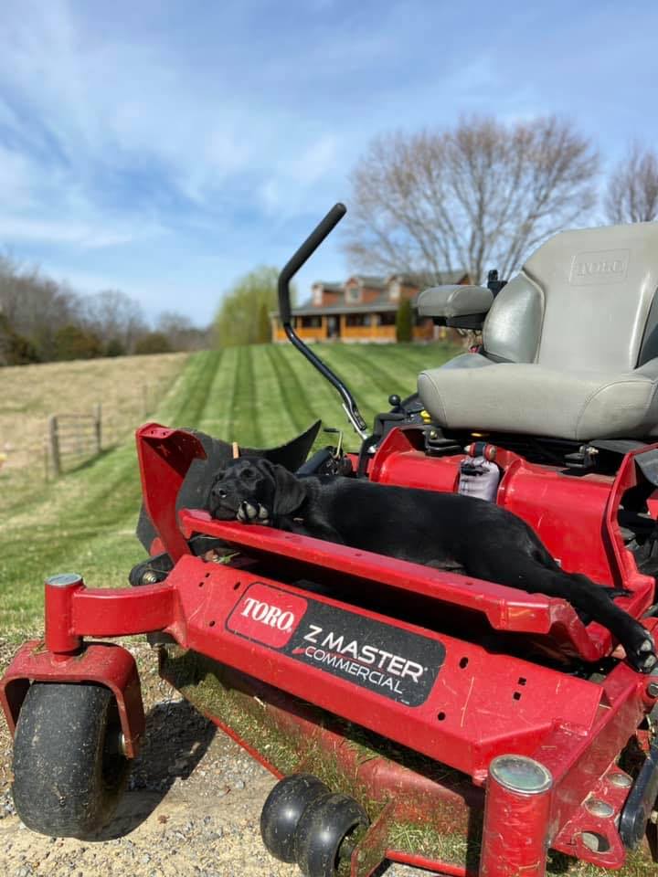 🚜 NEED A TRACKHOE OPERATOR FOR... - Ole Son’s Excavation | Facebook