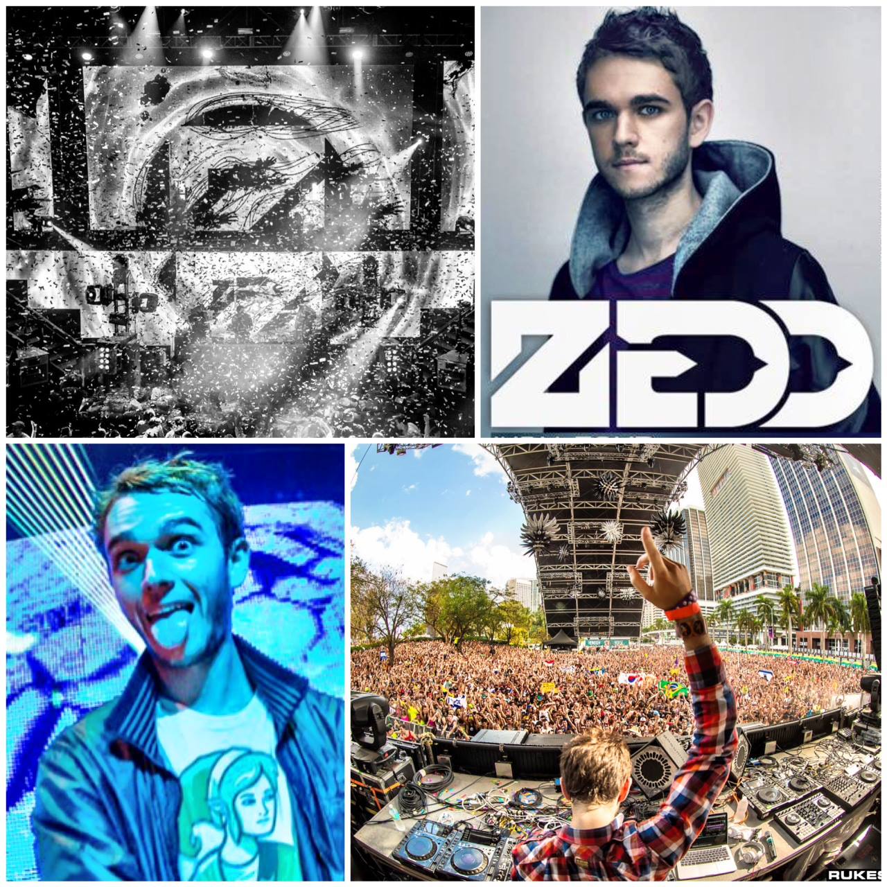 D.W.P - Djakarta Warehouse Project - ZEDD is your number #1 MOST WANTED ...