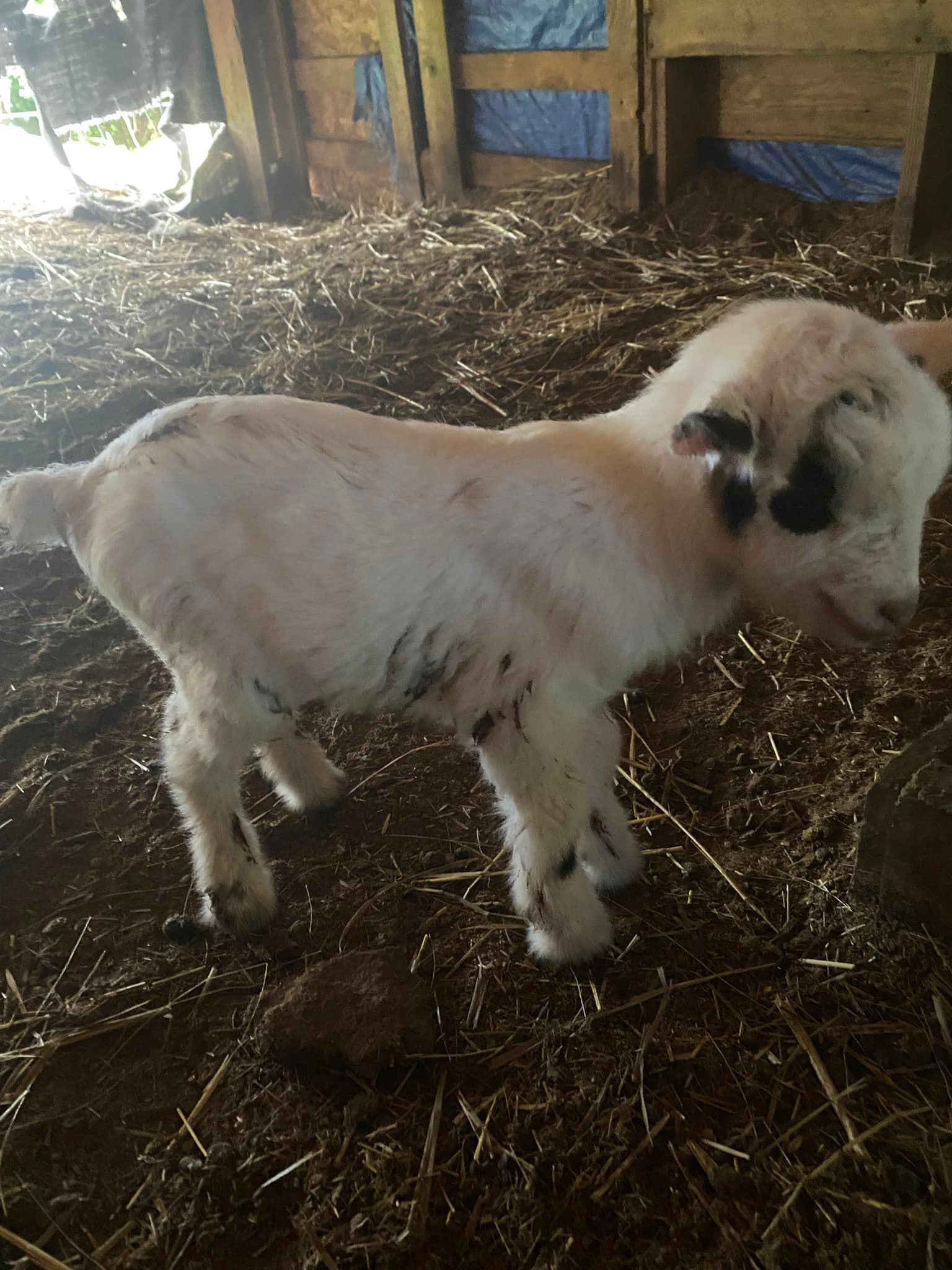 GIC Ranch & Education Center | Topeka KS