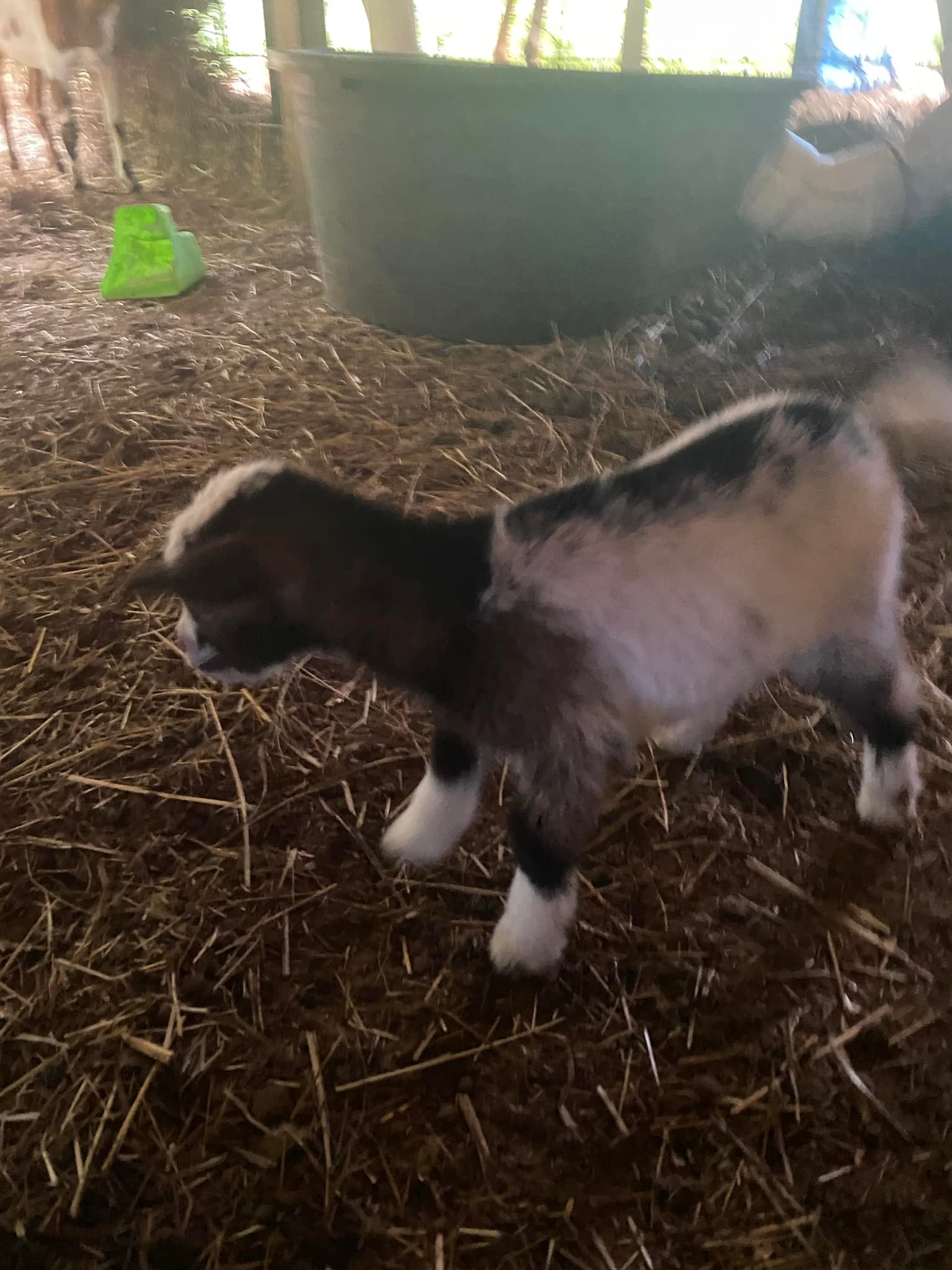 GIC Ranch & Education Center | Topeka KS