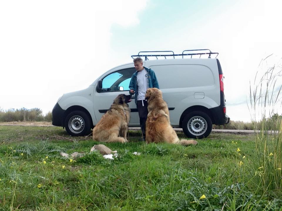 The... - Pack Instinct dog training, rehabilitation, walking
