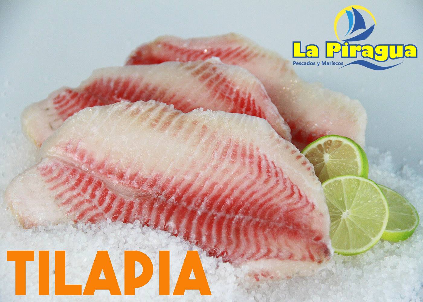 La tilapia es un pescado bajo... - Distribuidora La Piragua | Facebook