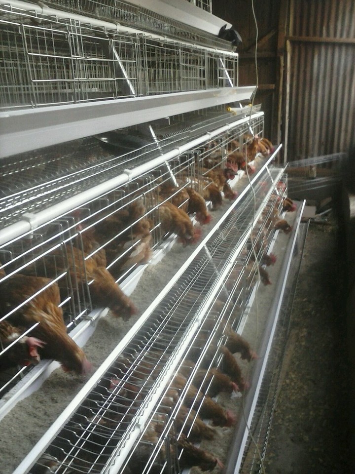 RuFarm Solutions Limited | Nairobi
