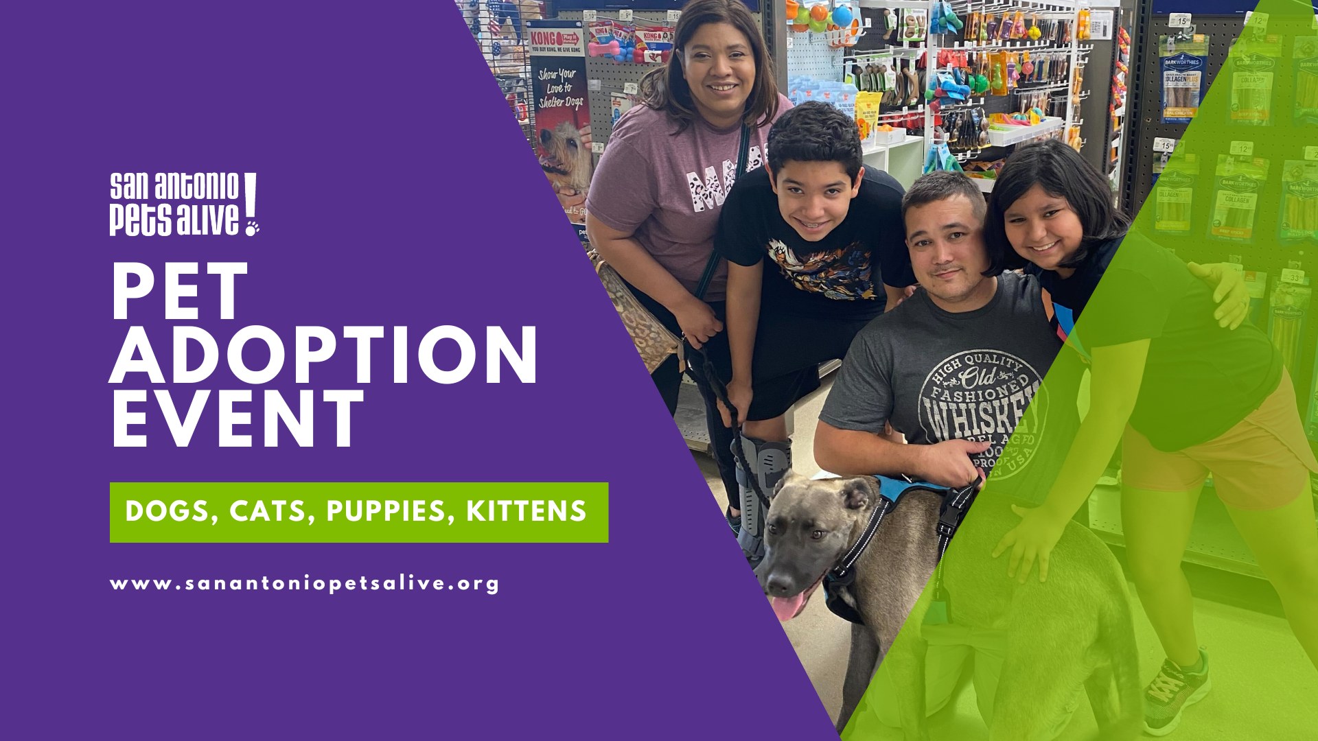 SAPA! Adoption Event at Petco Ingram - Home for the Holidays! Waived ...