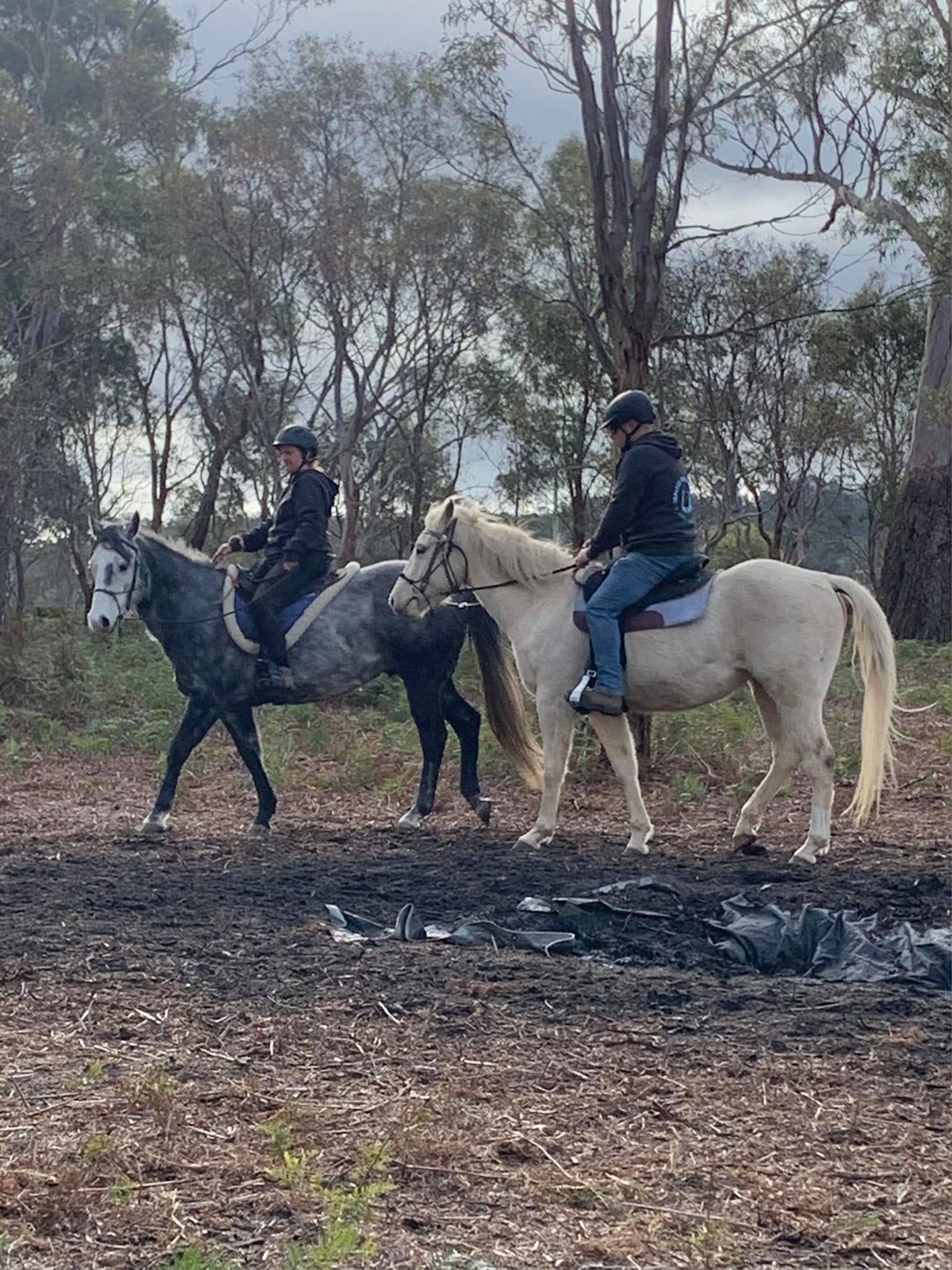 CB Equine Services... - CB Equine Services at Red Flag Ranch