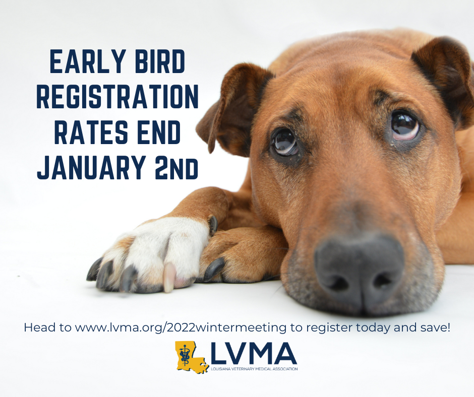 Did you... - Louisiana Veterinary Medical Association - LVMA
