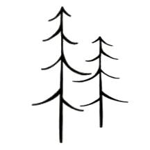 Upstate Tree Care LLC | Greenville SC