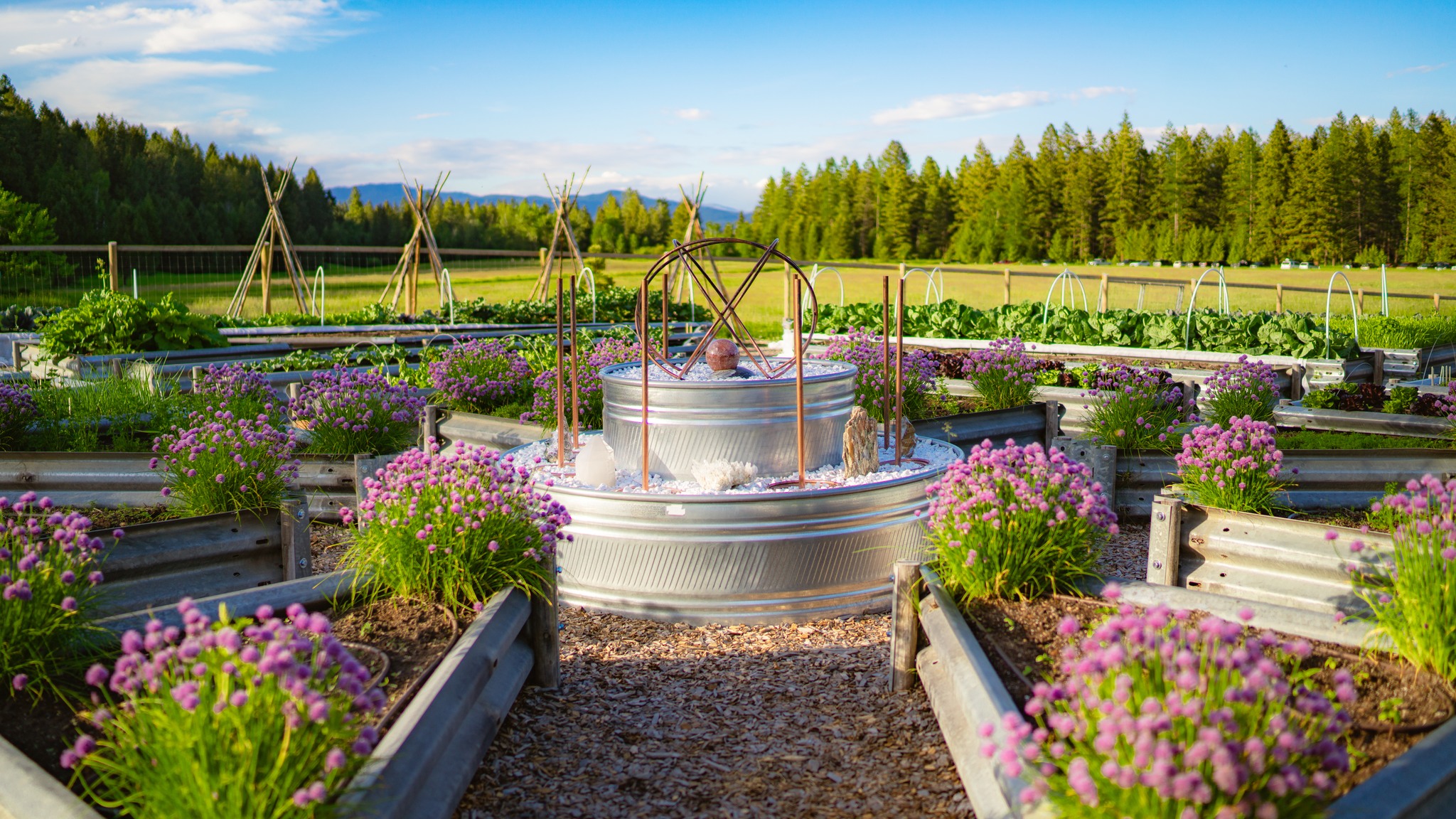 Dancing Spirit Ranch | Columbia Falls MT