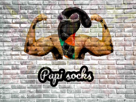 Papi socks