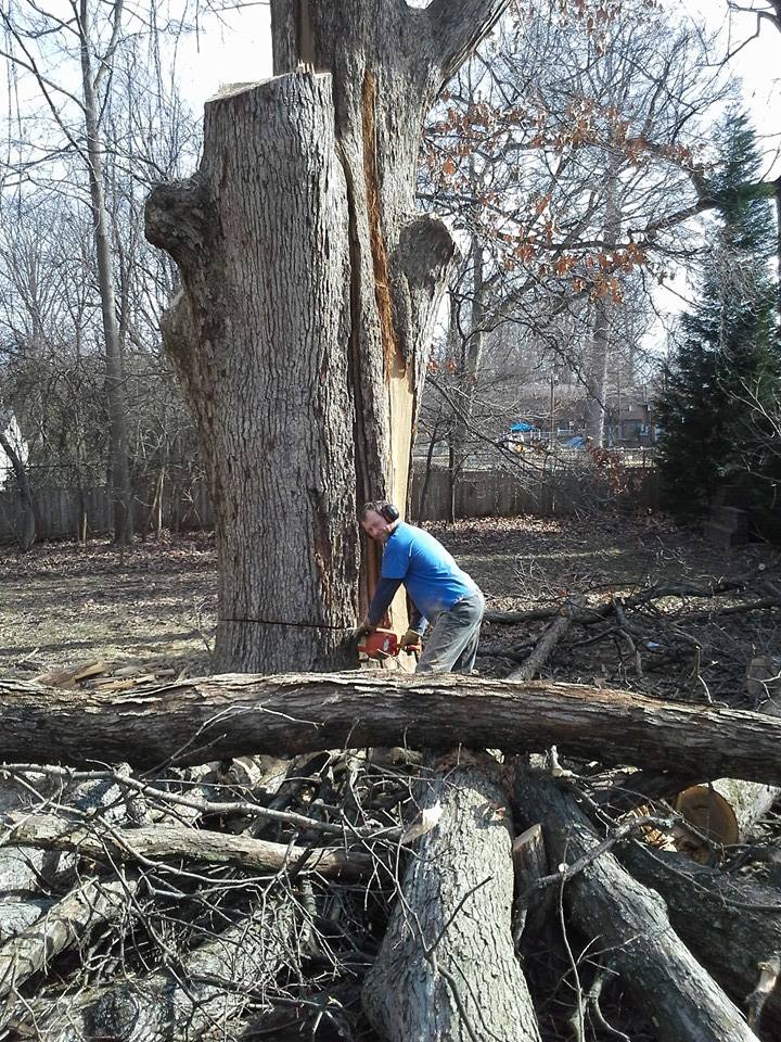 Matt's Tree Service | Greensboro NC