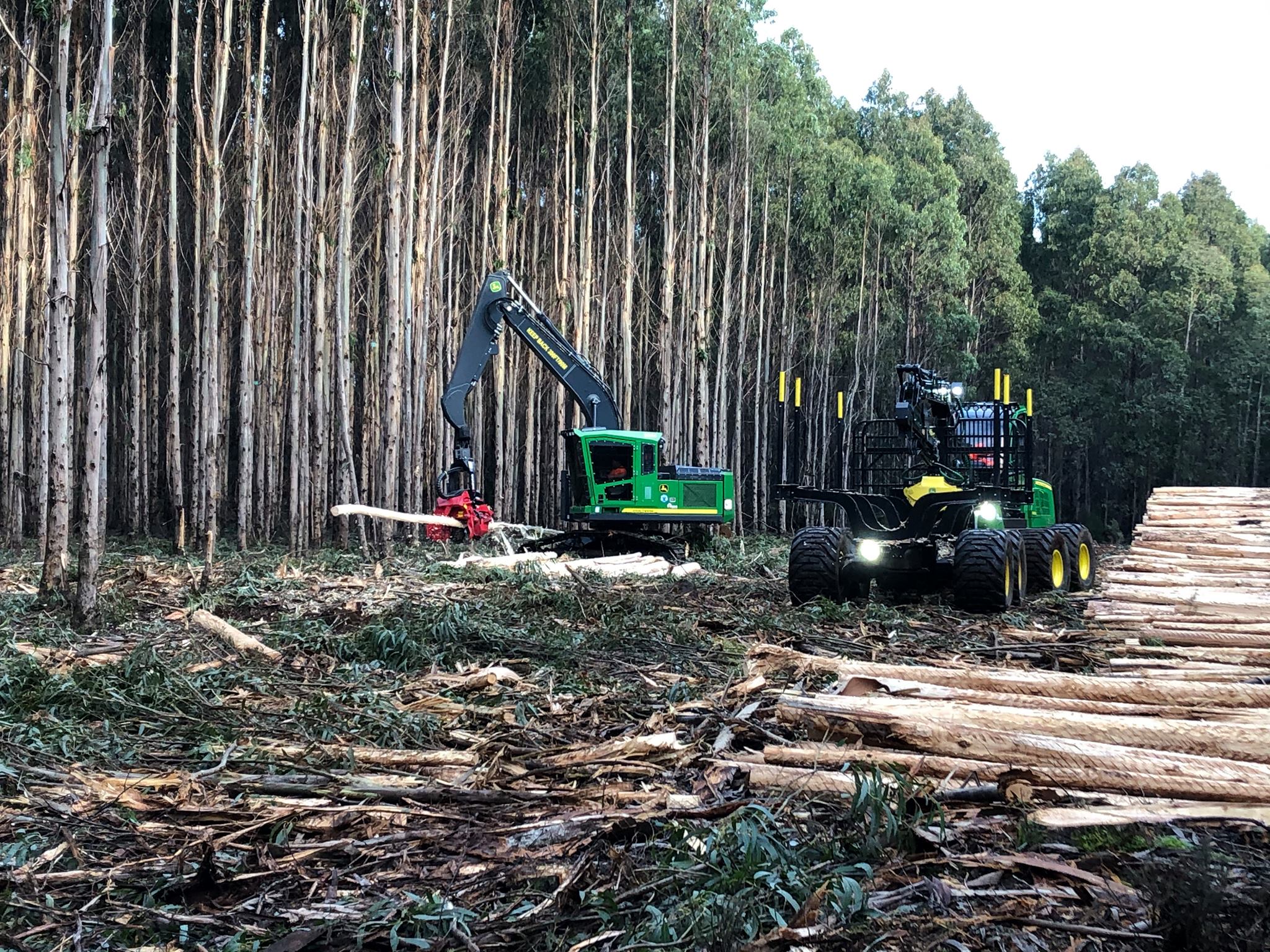 Sustainable Timber Tasmania - Sustainable Timber Tasmania is seeking a ...
