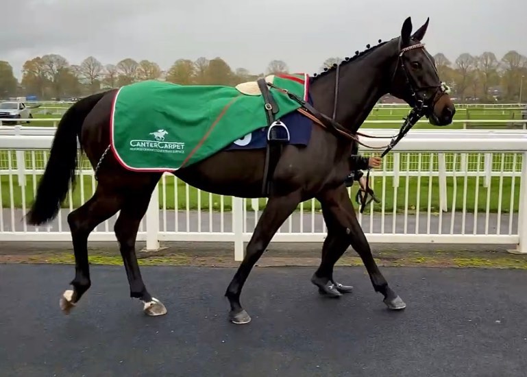 Two runners @wetherbyraces today... - Alastair Ralph Racing | Facebook