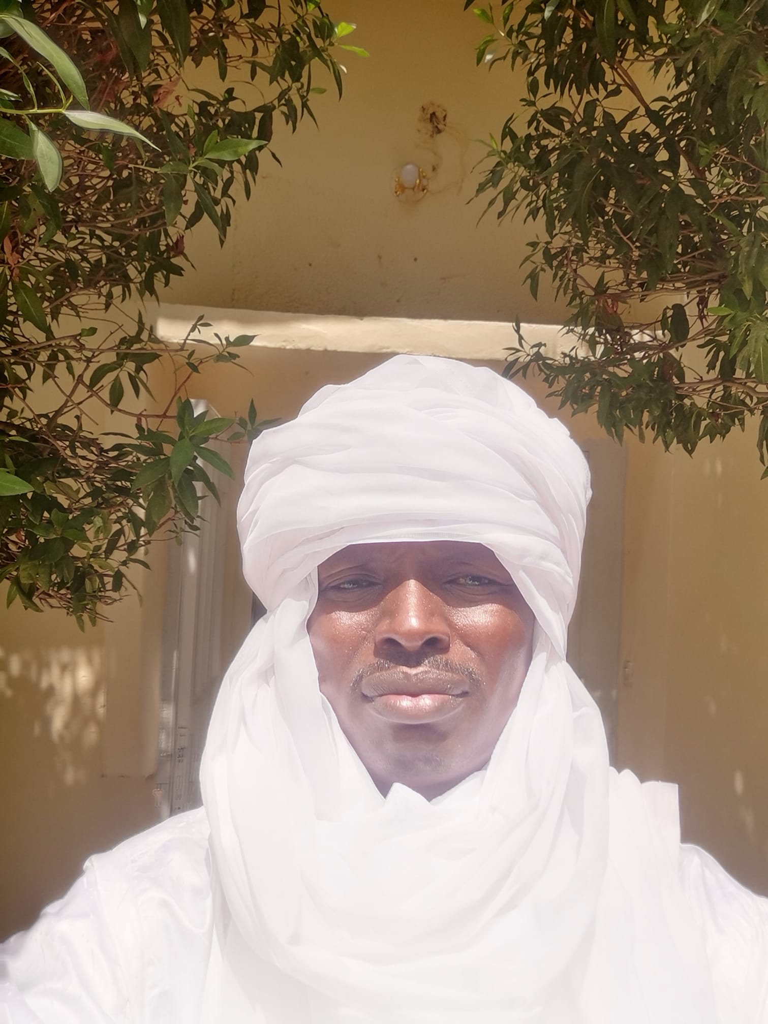 Mouda Nibiss