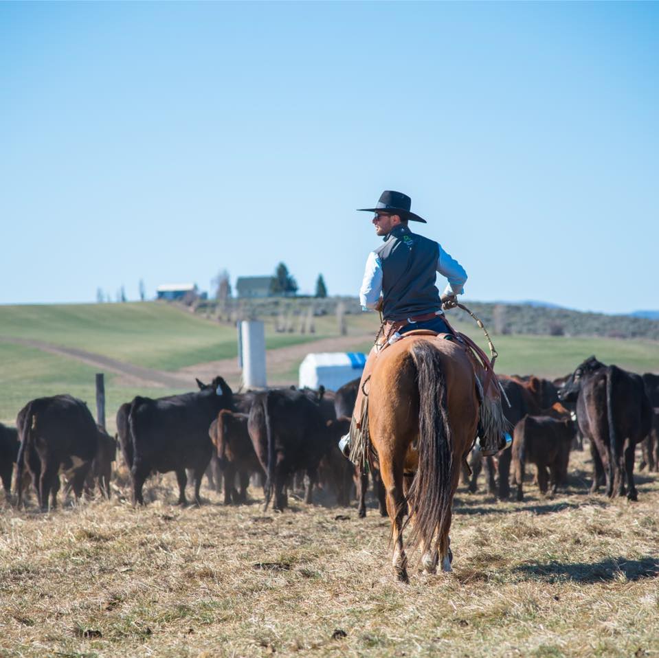 Flying Box Ranch | Ellensburg WA