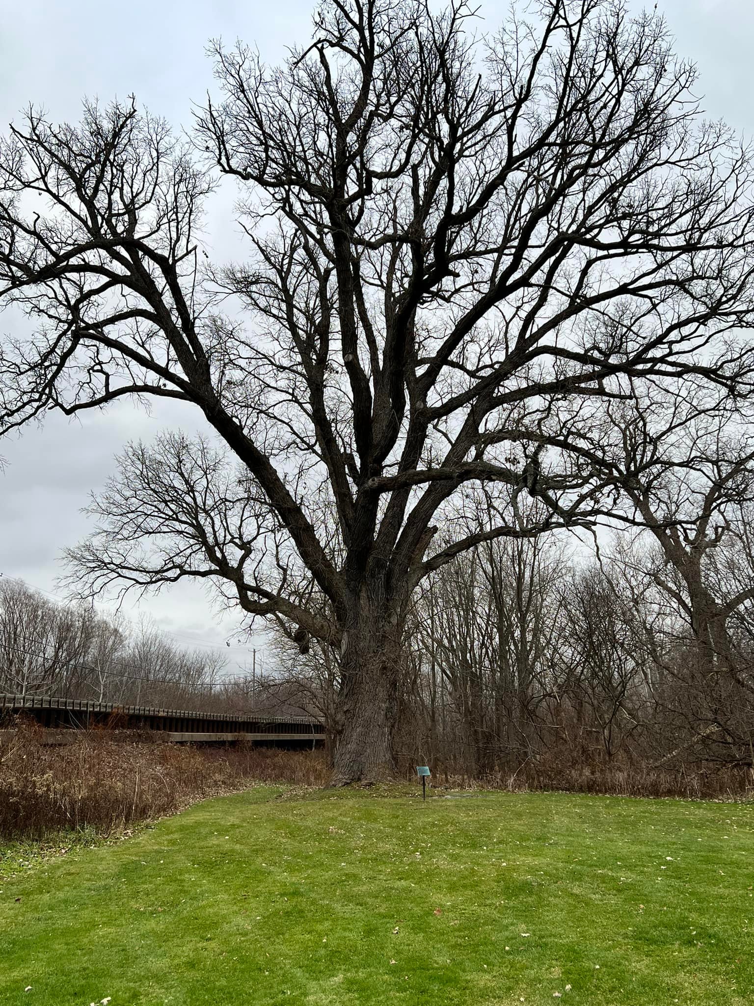 Visit - The Torture Tree | Facebook