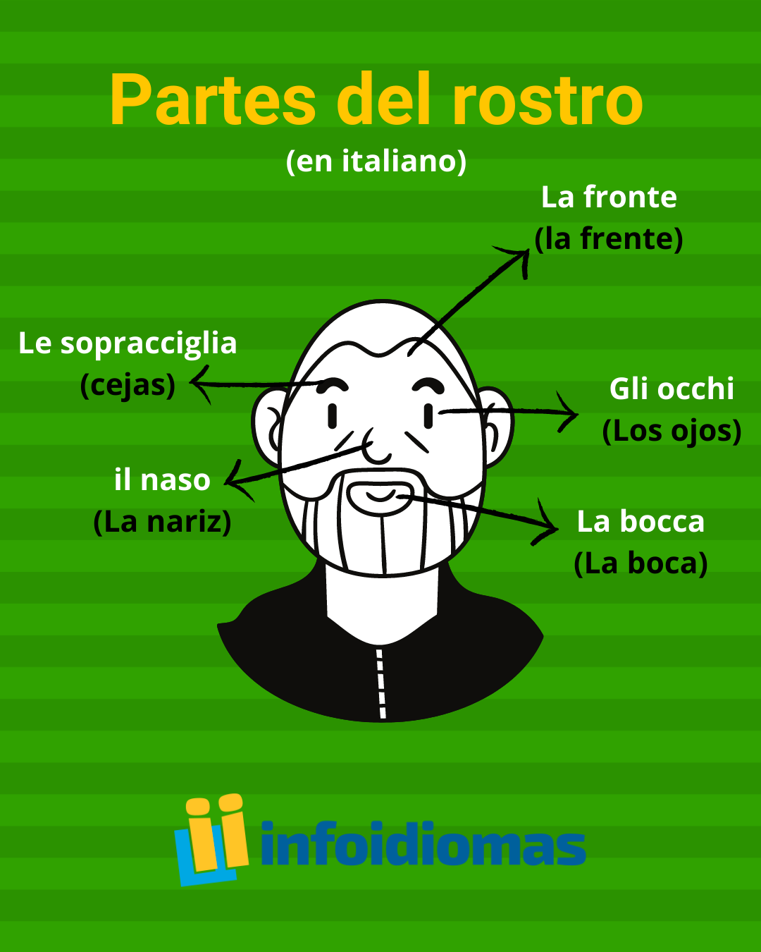 ¡Conoce las partes del rostro en... - Infoidiomas México