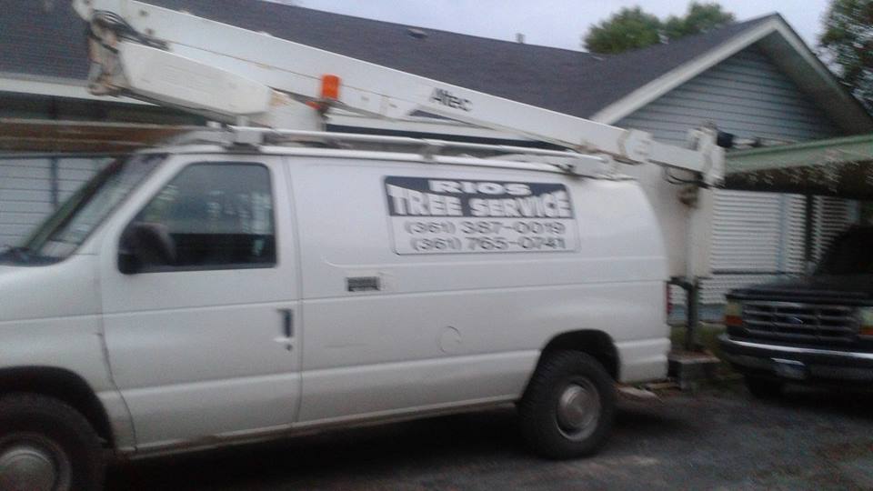 Rios tree service | Robstown TX