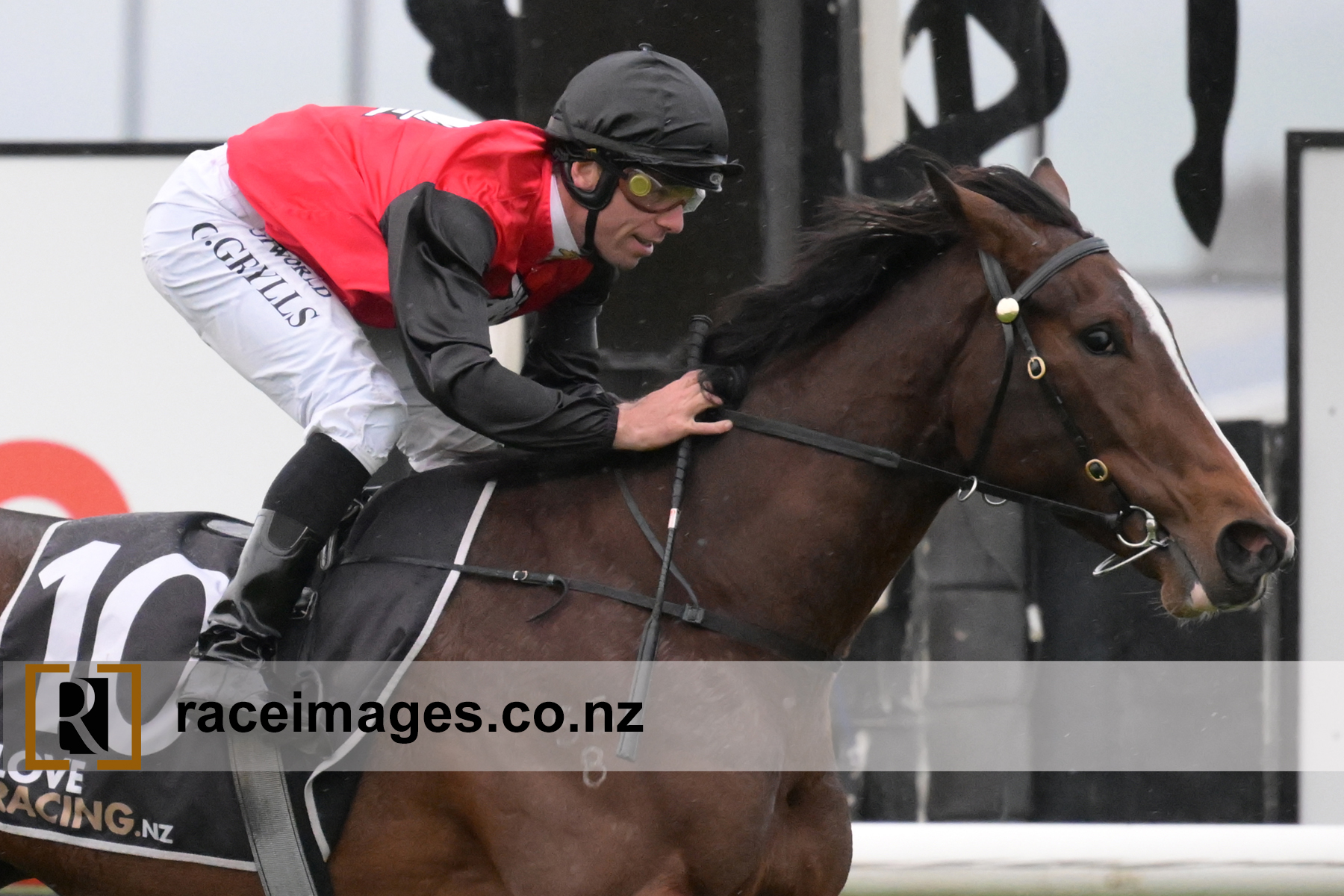 Huge milestone congratulations Craig - The Racing Website | Facebook