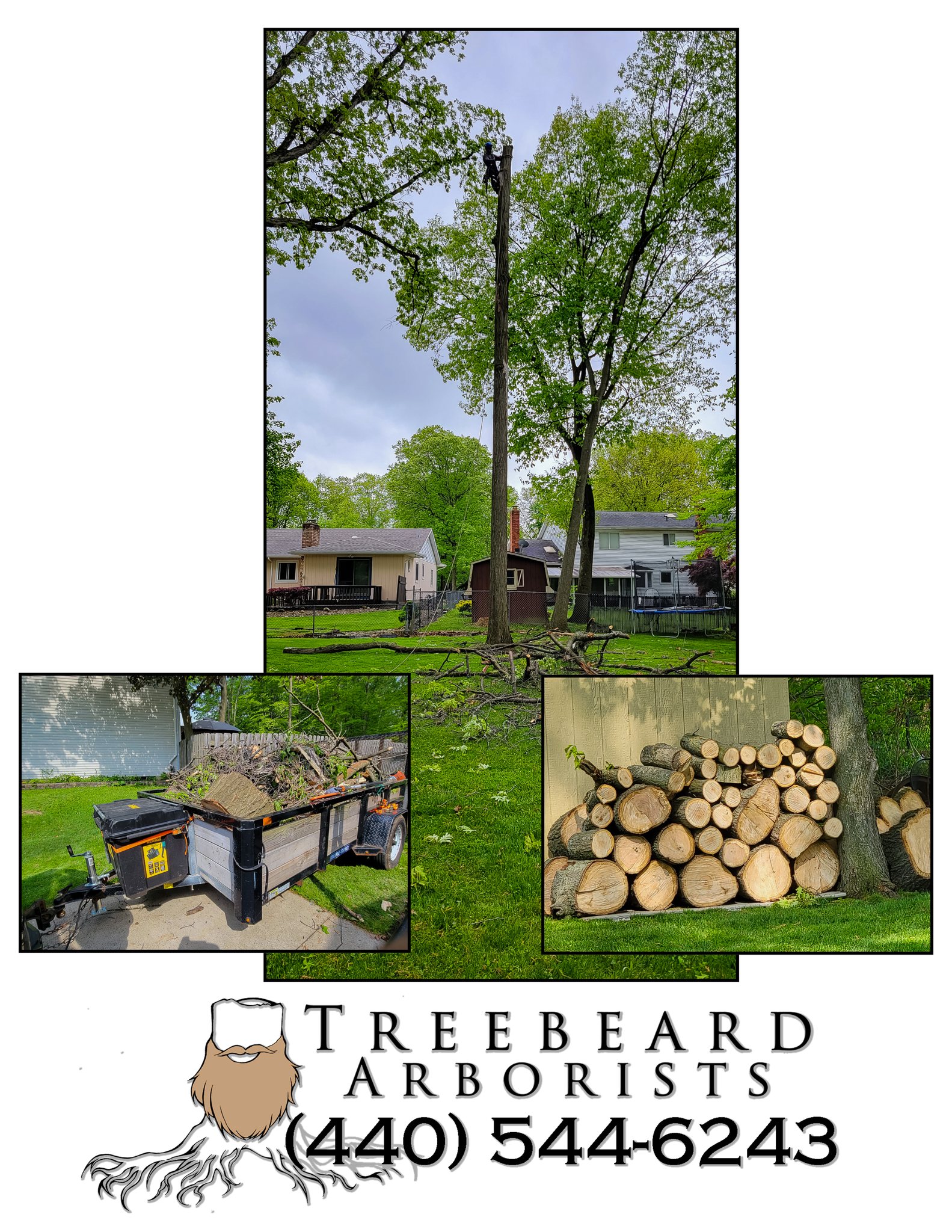 Treebeard Arborists