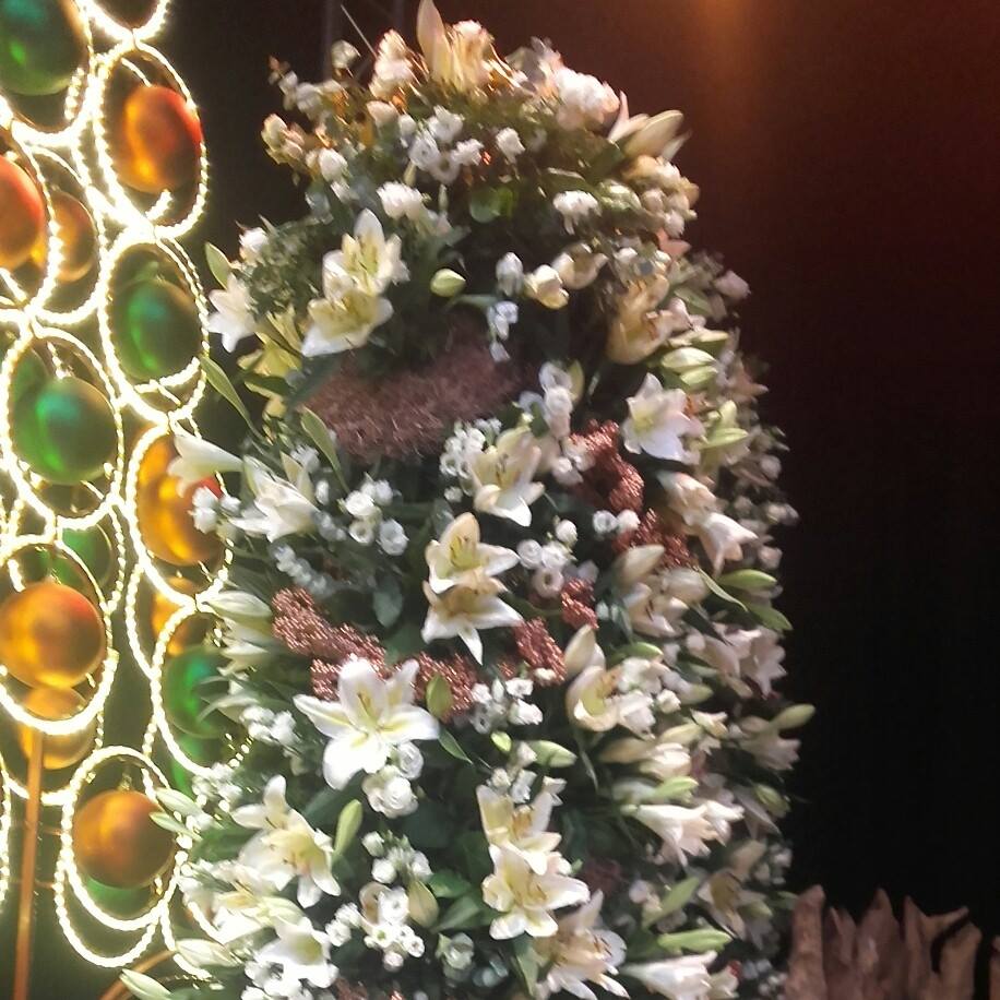 Fioricoltura... - Fioricoltura e Agenzia funebre Alessio Orru