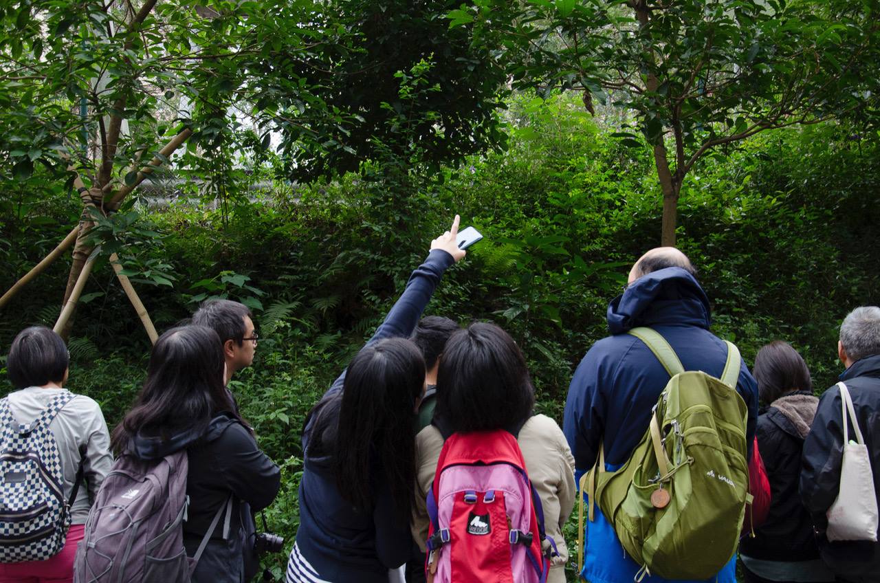 樹後生活 Post Tree Lifestyle | Hong Kong Hong Kong
