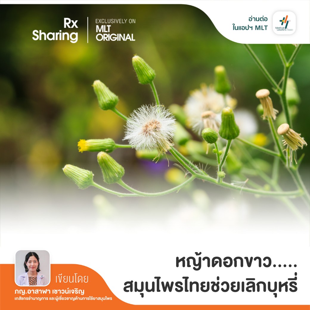 -ข้อมูลพื้นบ้าน... - Medical Leaders Thailand - MLT | Facebook