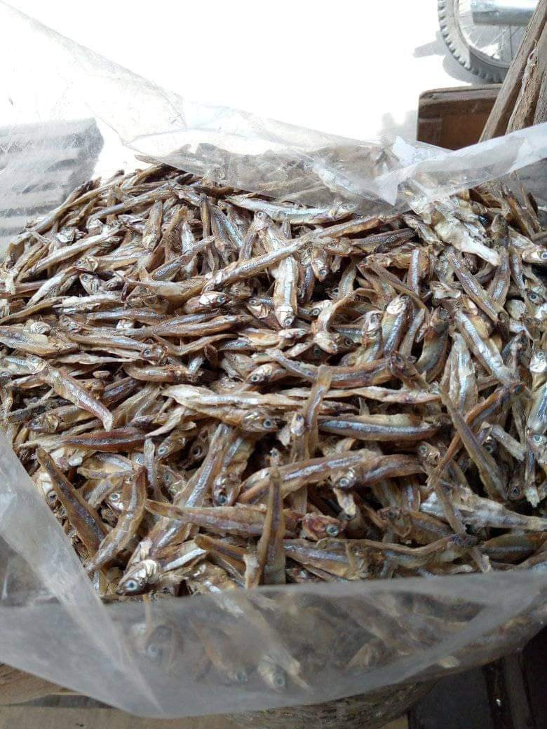 Bulad supplier | Rp. Kinsay supplier ug bulad Tagum city ug tagpila ...