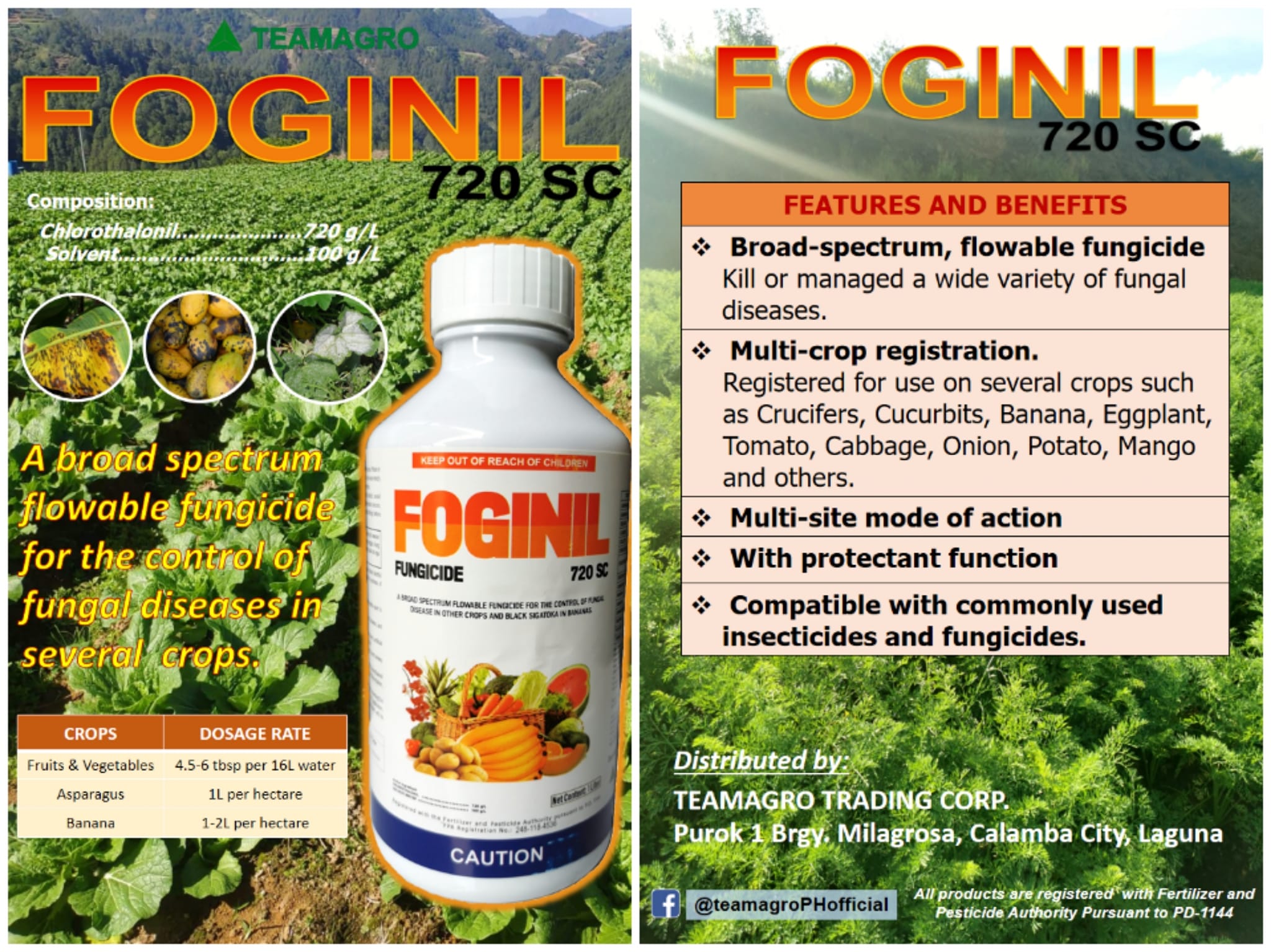 TEAMAGRO PRODUCTS! FOGINIL 720... - Teamagro Trading Corp. | Facebook