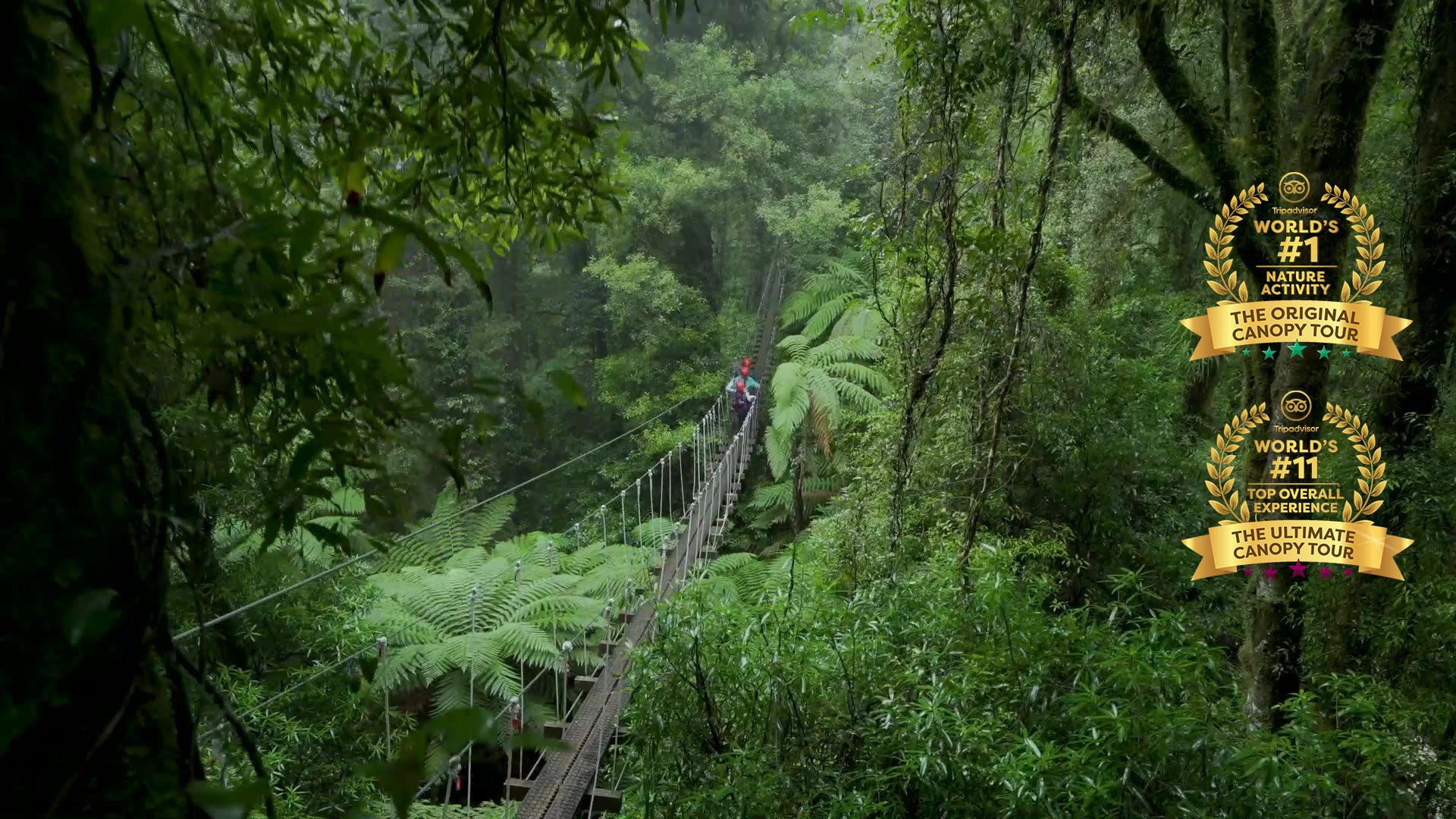 Rotorua Canopy Tours | Rotorua