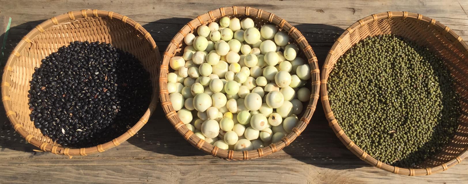 Vườn Thuỳ Lâm - Quà từ vườn nhà Rơm Rổ rá mẹt mua từ quê...