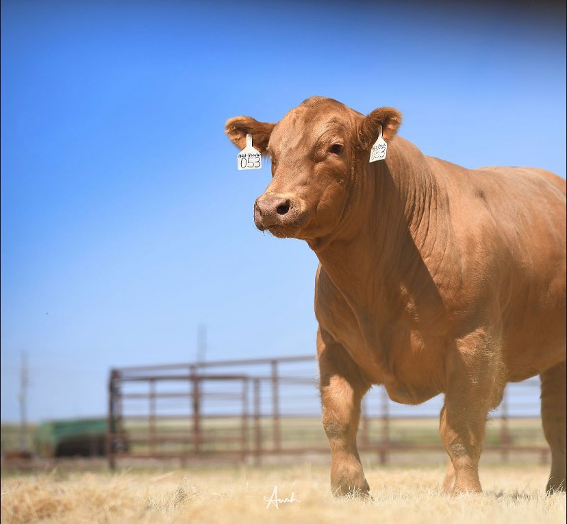 Coming soon…The... - PrimeTIME AgriMarketing Network, Inc.