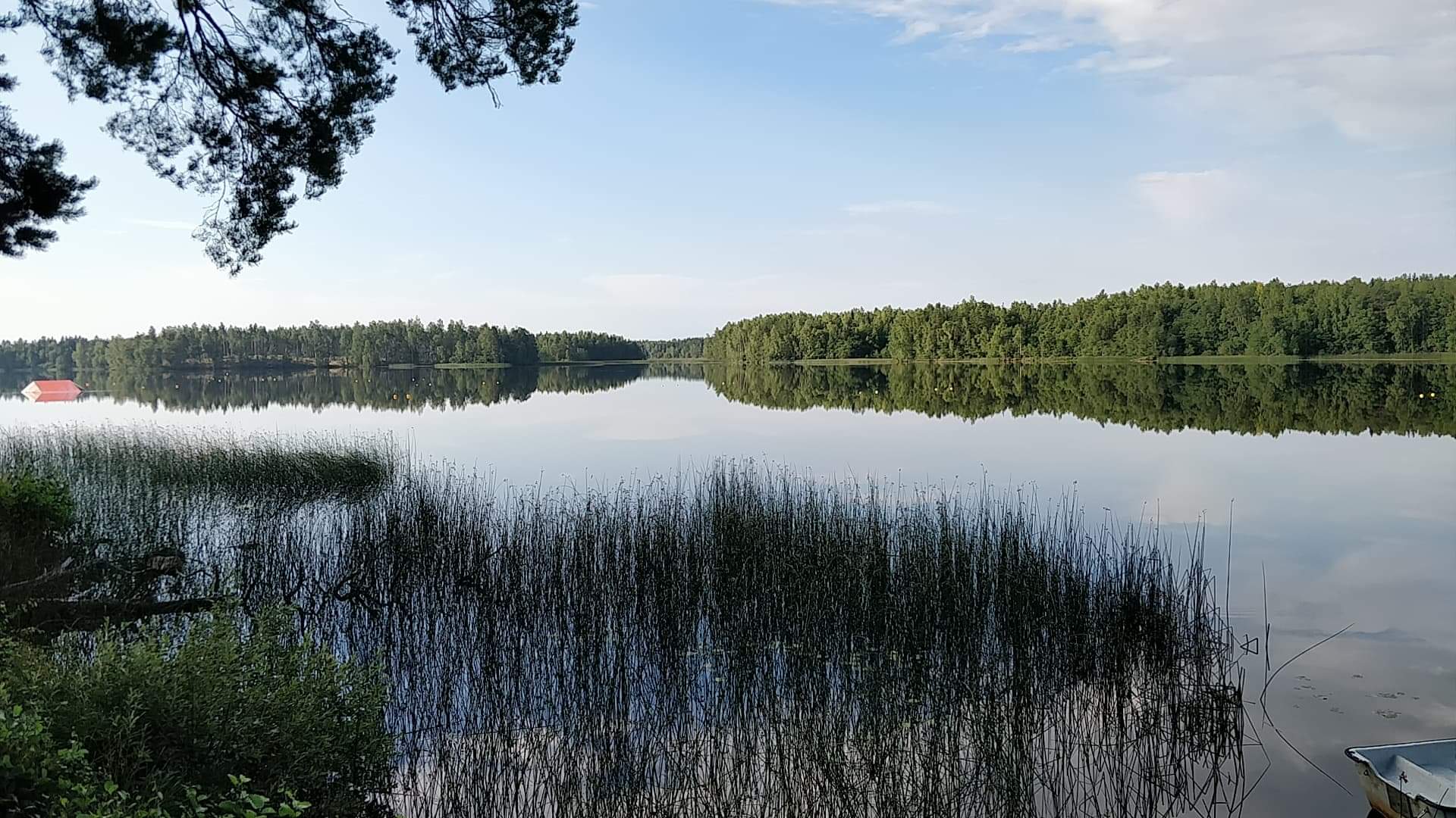 Fjordsvømmer... - Fjordsvømmer og Vinterbaderklubben Neptun