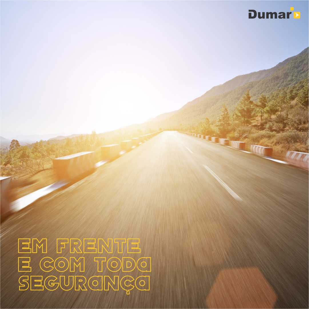 Transportes Dumar Ltda - Além do limitador de velocidade, os seguros ...