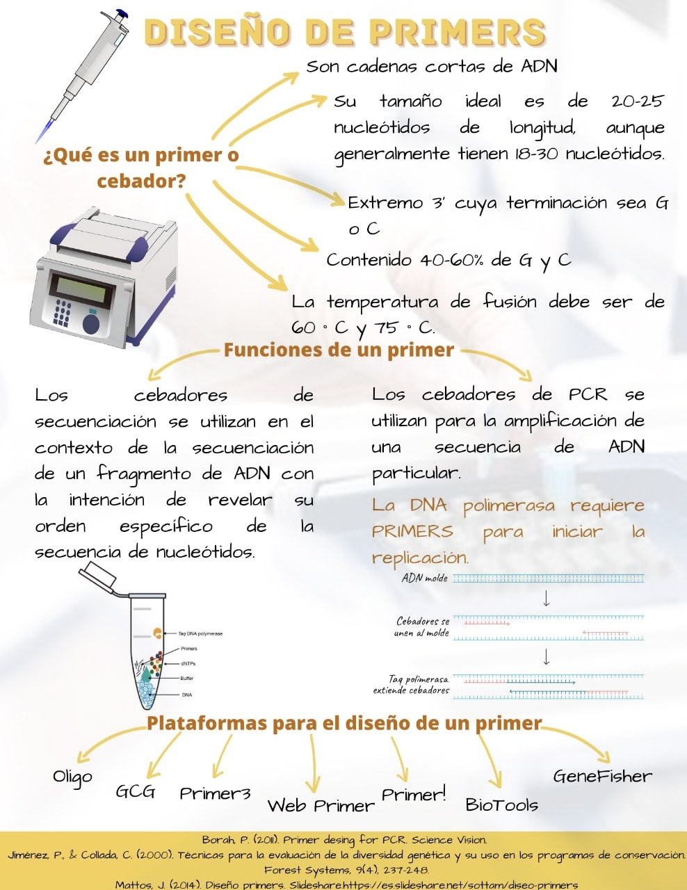 Ciencia Bio - Aprende a diseñar primers con software libre en nuestro ...