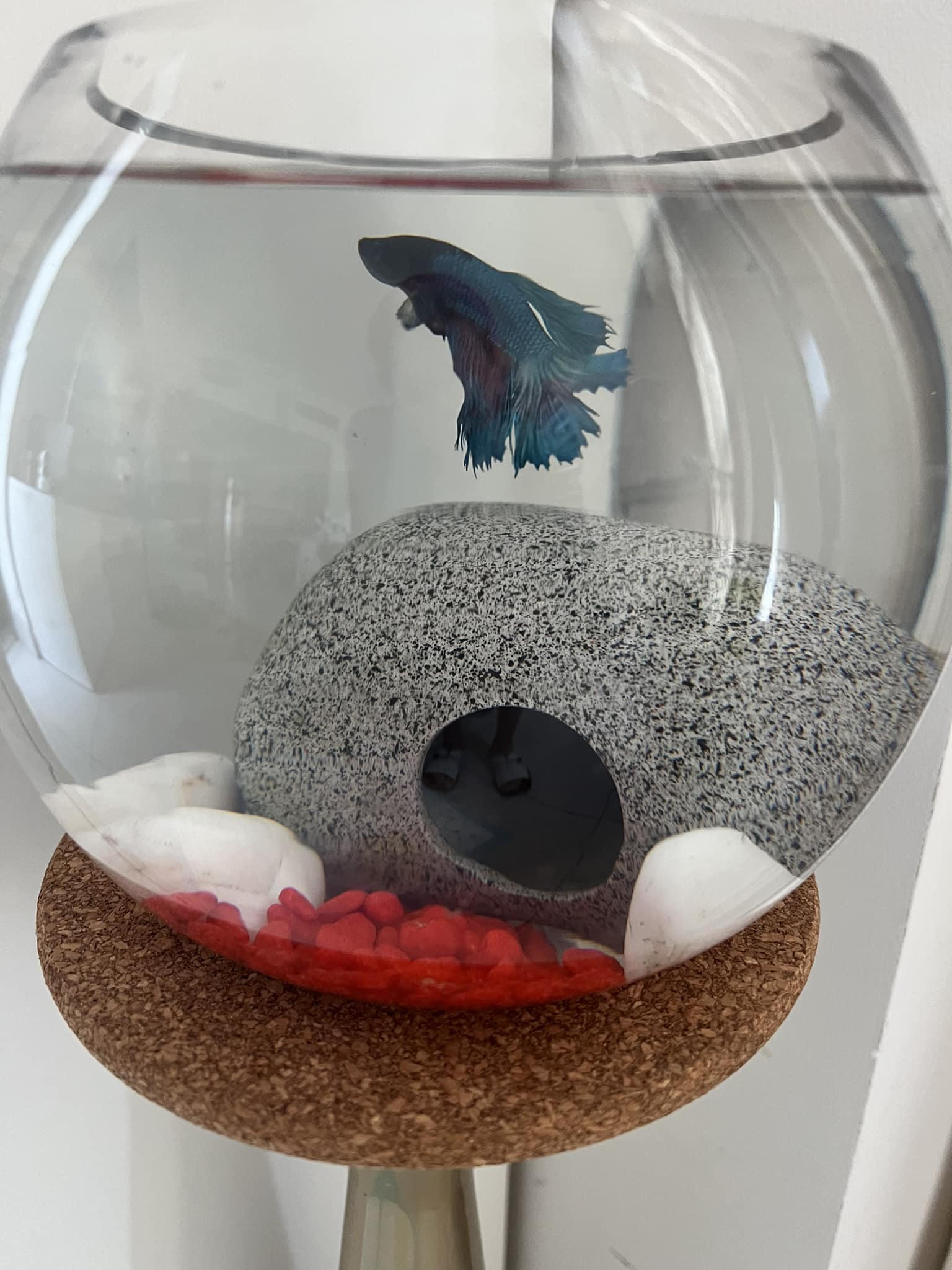 fish tank accessories dubai Aquarium Creative Desktop Tank, Free Water Change Ecological, Fis COOLBABY Aquariums & Fish Bowls UAE