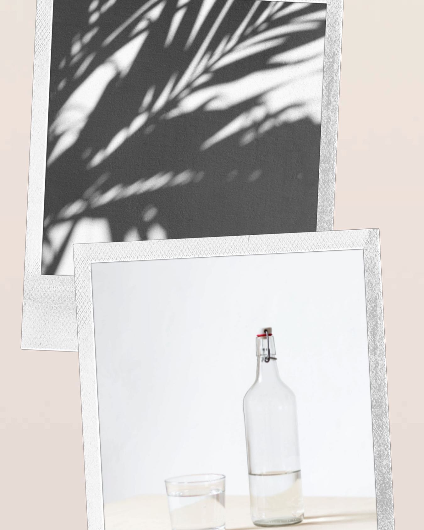 Meaghan Conroy | Melbourne VIC