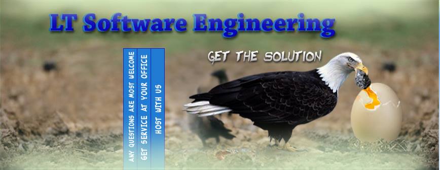 Lt Software Engineering | Addis Ababa