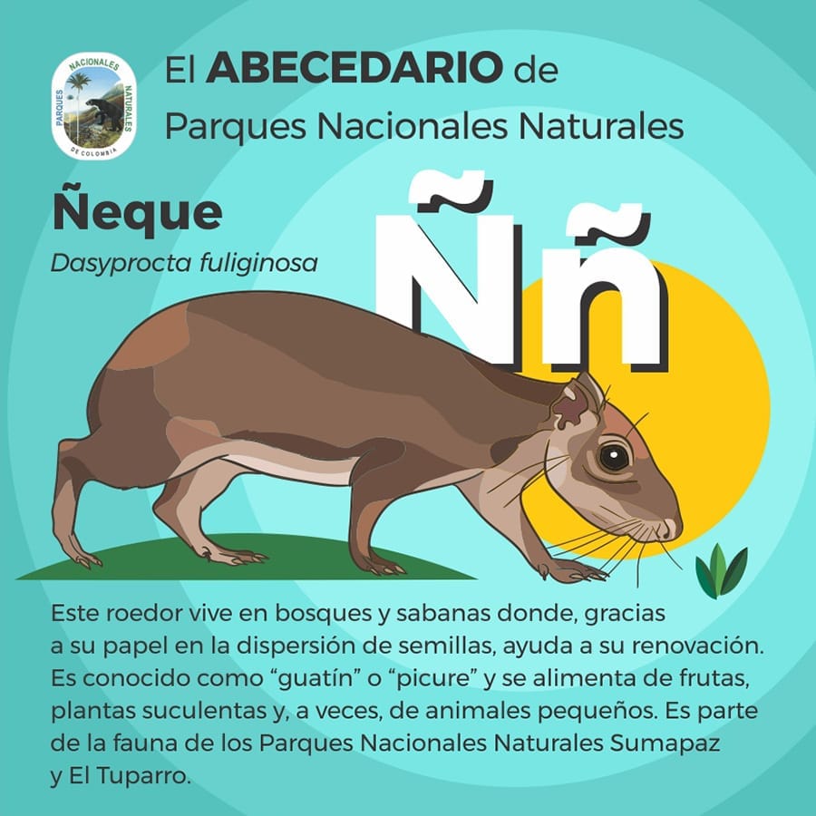 Parques - Es tan amplia la biodiversidad en las áreas protegidas de ...