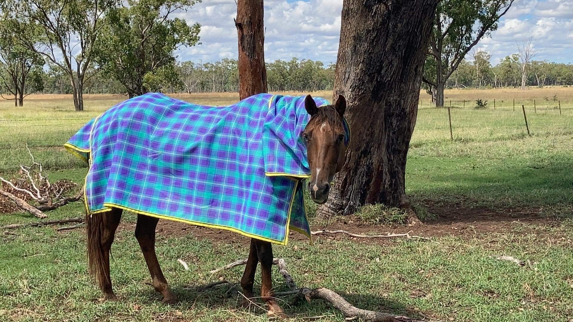 Newrybar Rugs | Yuleba QLD